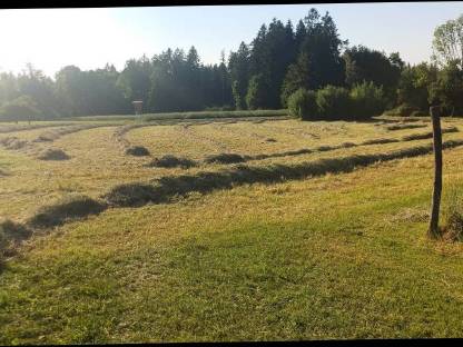 Bild 2:Bio Heu zu verkaufen