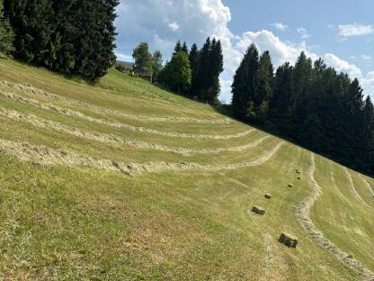 Bild 2:Kleinballenpressen