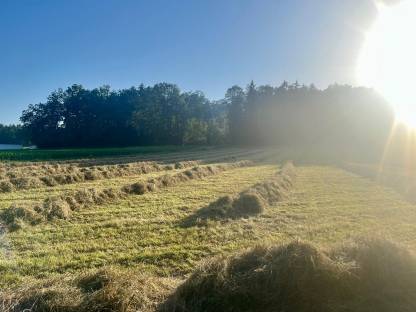 Bild 5:Belüftetes Heu