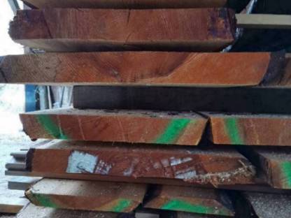 Bild 2:Waldviertler Fehra (Kiefer)