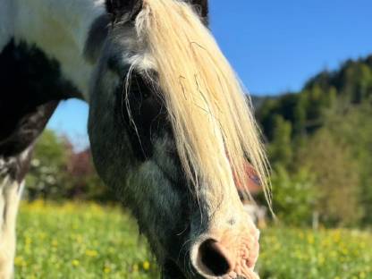 Bild 2:Einstellplatz