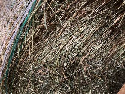 Bild 3:Bio Heuballen