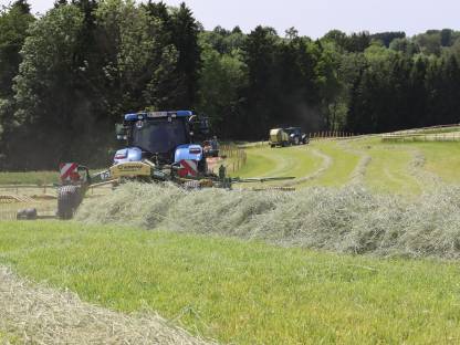 Bild 3:Heurundballen – Ernte 2025