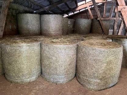 Bild 2:Heurundballen 2024/2025