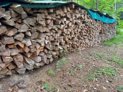 Bild 2:Fichten Brennholz