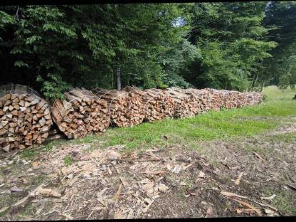 Brennholz, Kaminholz, Hartholz, Mischholz