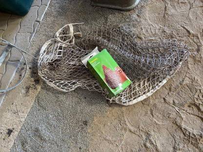 Bild 3:Pferdestallzubehör