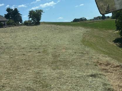 Bild 2:Heu, Pferdeheu