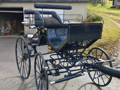 Bild 2:Dressurkutsche