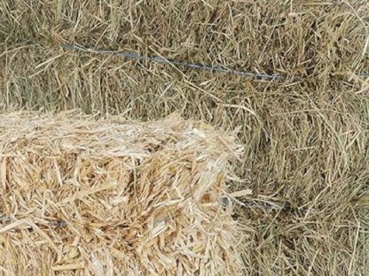 Heu und Stroh in kleinen Ballen