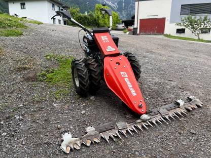 Reform 216 neuer Motor 9 PS