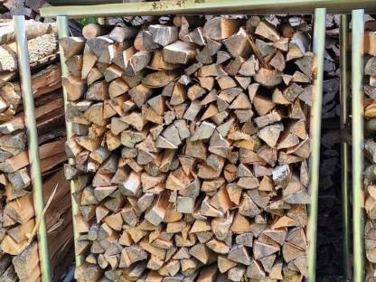 Bild 6:Brennholz Esche