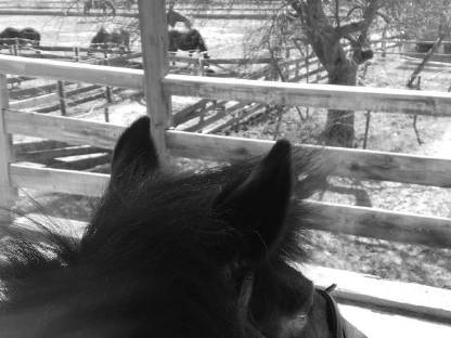 Bild 6:Einstellplätze frei