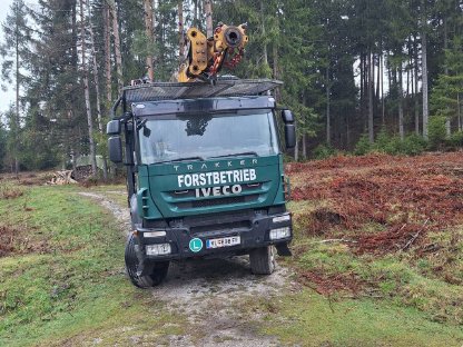 Bild 4:Seilkran Koller 306GH mit Woody 50