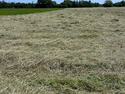 Bild 4:Heu Quaderballen