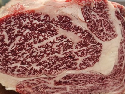 Bild 7:Wagyu - Rinder 100% Vollblut
