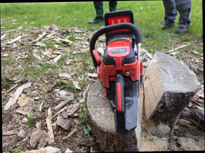 Bild 2:Bluebird Motorsäge CSP 500