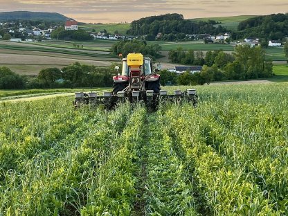 Bild 2:Lohnanbau mit Precision Planting Sätechnik aus den USA