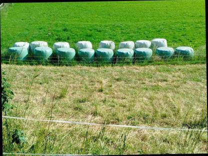 Silo Ballen 130 cm Durchmesser
