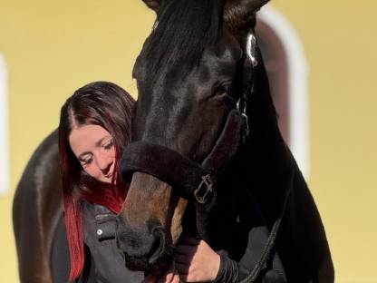Bild 2:Talentierte junge Stute mit Vielseitigkeitspotenzial