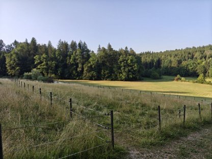 Bild 4:Offenstall Islandpferd