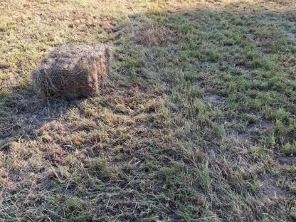Bild 4:Kleinballen Hochdruckballen