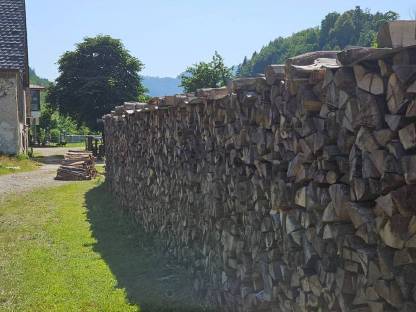 Brennholz