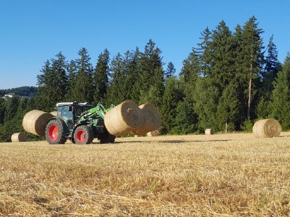 Bild 6:Strohernte