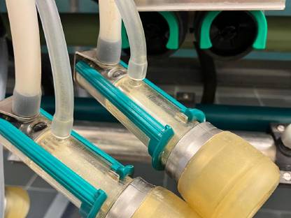 Bild 8:Komplett bestückter Ziegen/Schafmelkstand inkl. GEA Technik