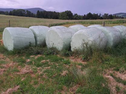Siloballen, Silageballen, Silo