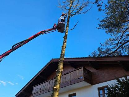 Bild 9:Baumfällung, Heckenschnitt uvm.