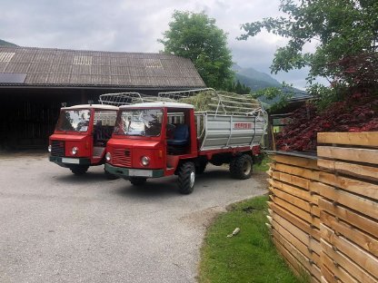 Bild 3:Verkaufe Muli 150 Reform