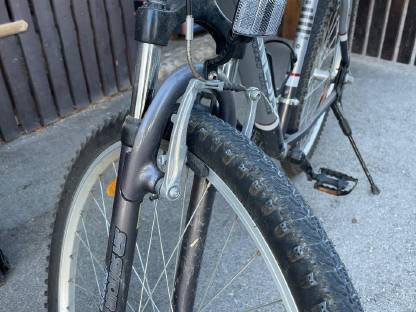 Bild 3:Genesis MTB