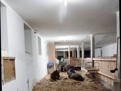 Bild 5:Aufzuchtsplatz