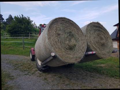 Bild 7:Doppelballengabel