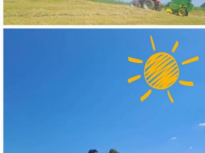 Bild 2:Heuballen 1. Schnitt aus 2025