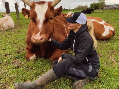 Bild 2:Einstellplatz / Offenstall