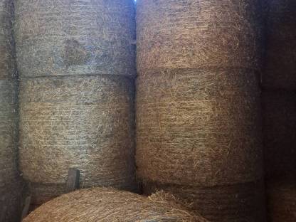 Bild 3:BIO Heuballen