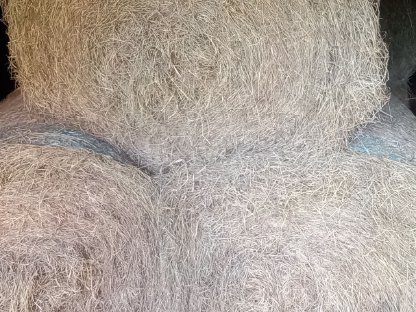Bild 2:Bio-Heuballen 1. & 2. Schnitt