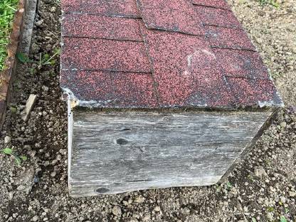 Bild 2:Großes Häuschen