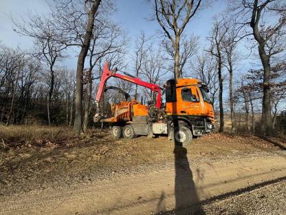 Bild 3:Hackgut, Hackschnitzel