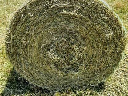 Heuballen 1. Schnitt 2025