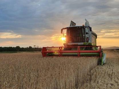 Bild 5:Suche Pachtflächen