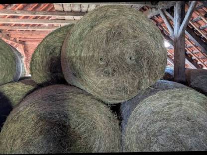 Bild 3:Heuballen