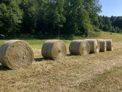 Heu Rundballen
