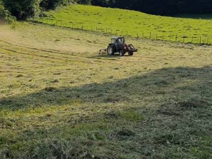 Heuballen zu verkaufen