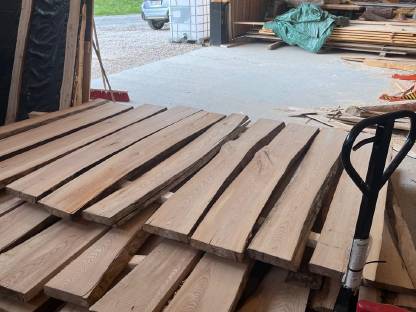 Bild 4:Ulmen und Eschenpfosten