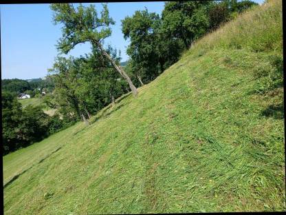 Bild 2:Heu für Pferde