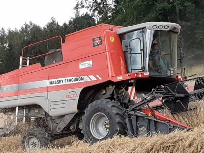 Bild 4:Massey Ferguson Beta 7270 AL-4