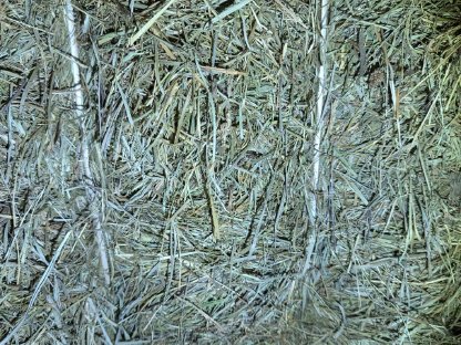 Bild 2:Heu, Pferdeheu